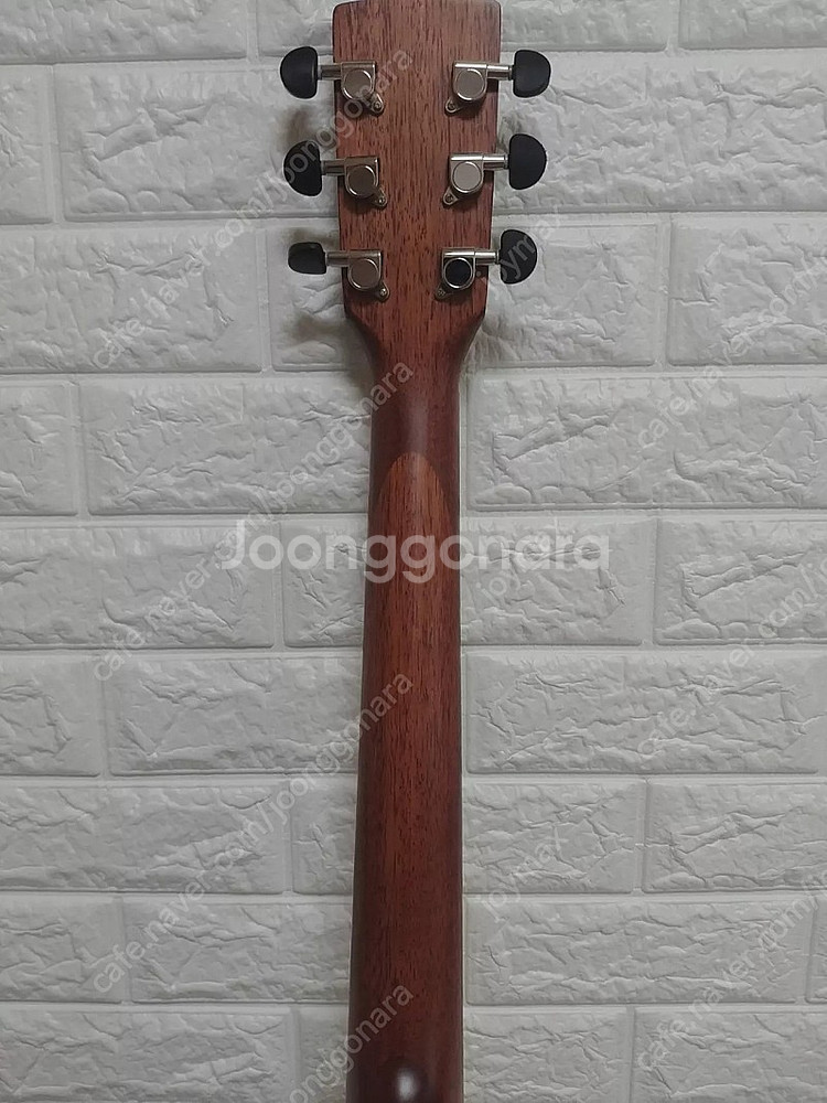 입문용 기타 콜트 어스 earth100 ns--8