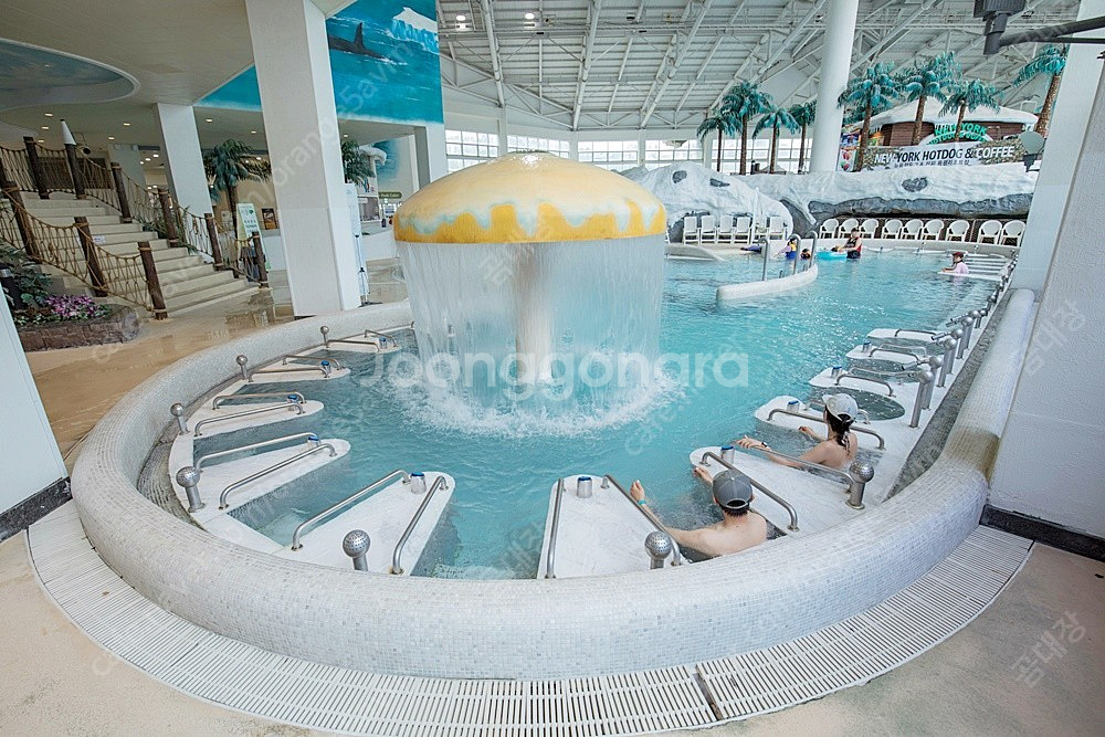 용평리조트~발왕산케이블카왕복권~워터파크오후권~조식뷔페권...--5