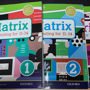 영재원 대비 컴퓨터 학습서 Matrix computing for 11-14 (oxford univ. press)