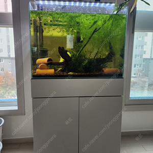 어항 풀세트 팔아요