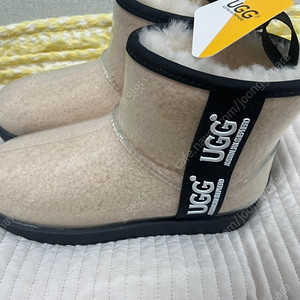 ugg 클리어 어그 호주