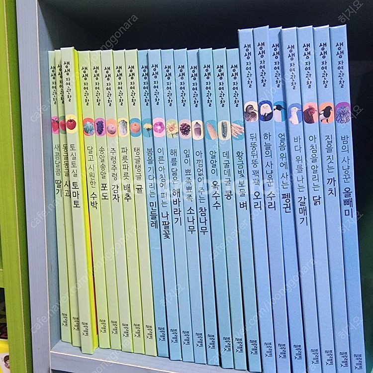 블루래빗 자연관찰 전집 워크북 토끼펜 (책꽂이 서비스)--1