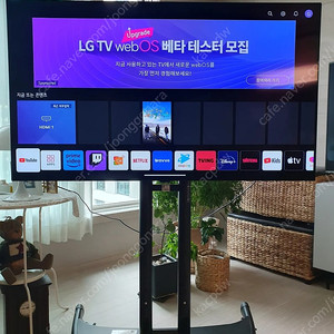 LG OLED TV 48A2 + 이동식 스탠드 스탠바이미