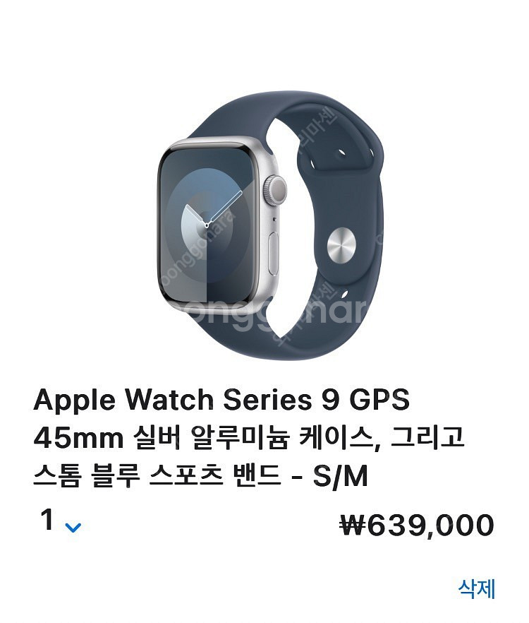 애플워치9 GPS 45mm 실버 스톰 블루--0