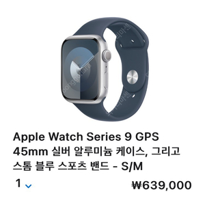 애플워치9 GPS 45mm 실버 스톰 블루