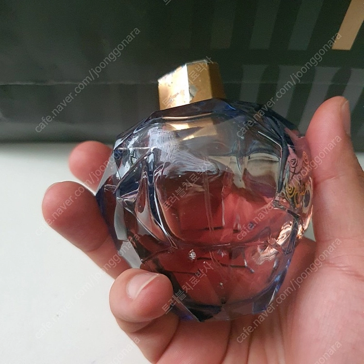 롤리타렘피카 EDP 100ml 향수 (12) 이미지