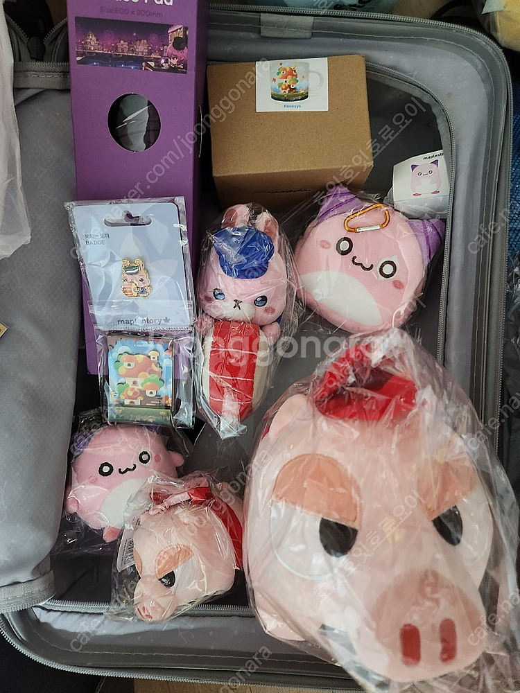 메이플스토리 더현대 팬페스트 팝업 굿즈 레헬른 헤네시스...--0