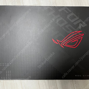 Asus Rog G713RM-LL121 노트북