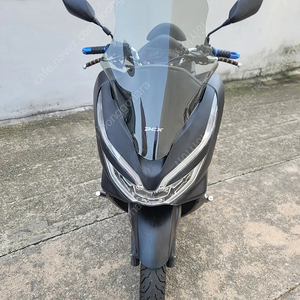 경북 pcx125 19년식 팔아요