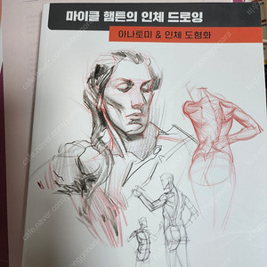 마이클햄튼 아나토미