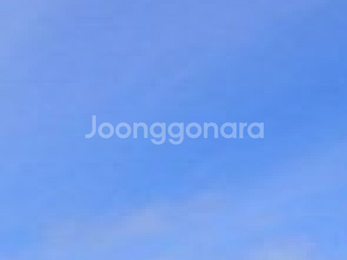 호랑이형님 1~3권 미개봉 초판 안전거래로 구매원합니다--0