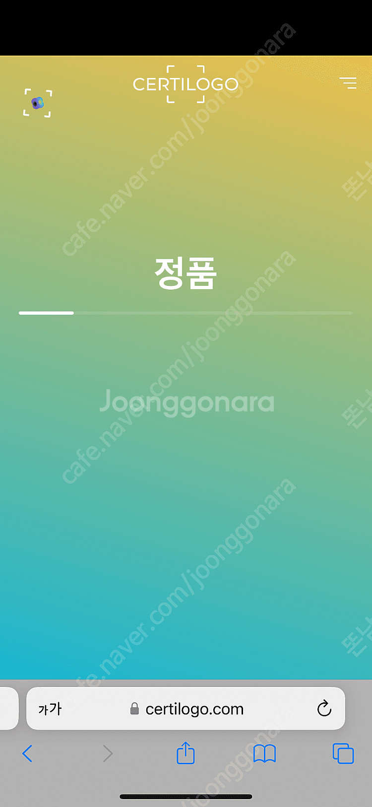 노비스 야테시 M 라이트그레이--5