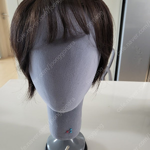 피치비위그 인모 정수리 부분 가발