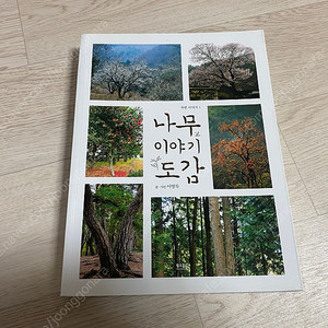 황소걸음 나무 이야기 도감(이영득) 새책 판매