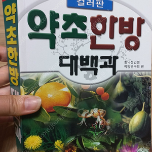 약초한방대백과 택포13000원 성인병연구회