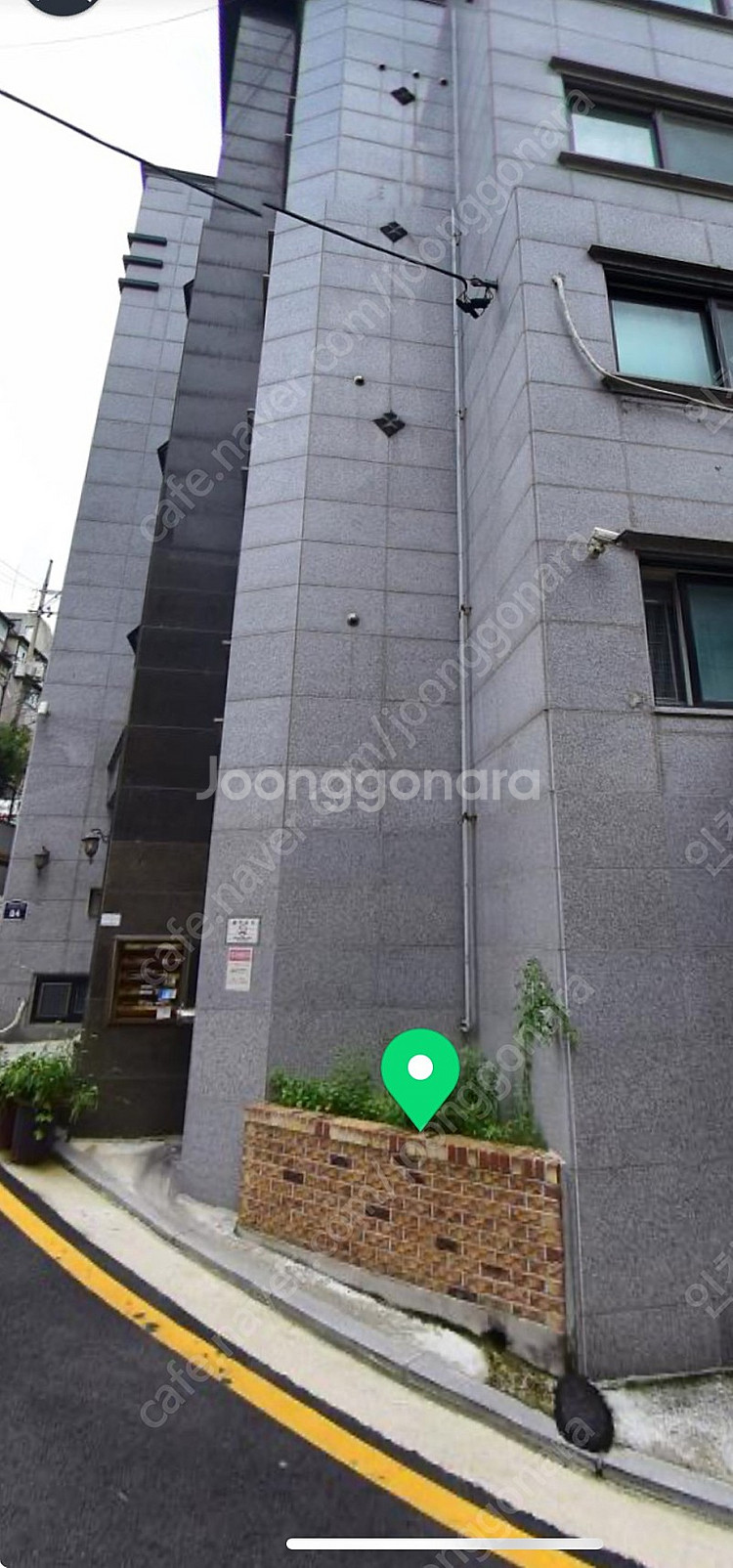 구찌 클러치백 스네이크 정품 풀박스 팝니다--6