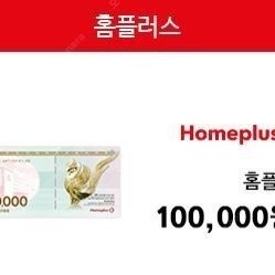 홈플러스(지류교환가능) 10만원권 - 93500원에 싸게팝니다