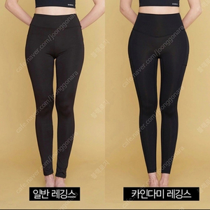 카인다미 골반뽕 레깅스 L