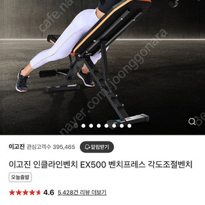 이고진 인클라인벤치 EX500 팝니다