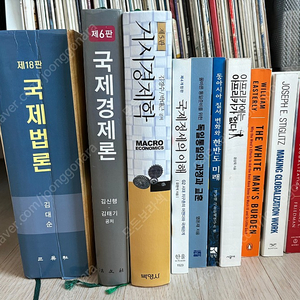 외교원 준비 서적, 경제학 서적, 해외 원서 등