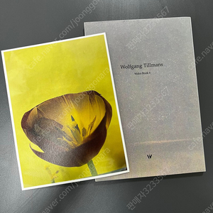 볼프강 틸만스 (wolfgang tillmans) wakobook 6