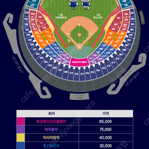 최강야구 VS 성균관대 외야, 3루젭티 단석 판매해요