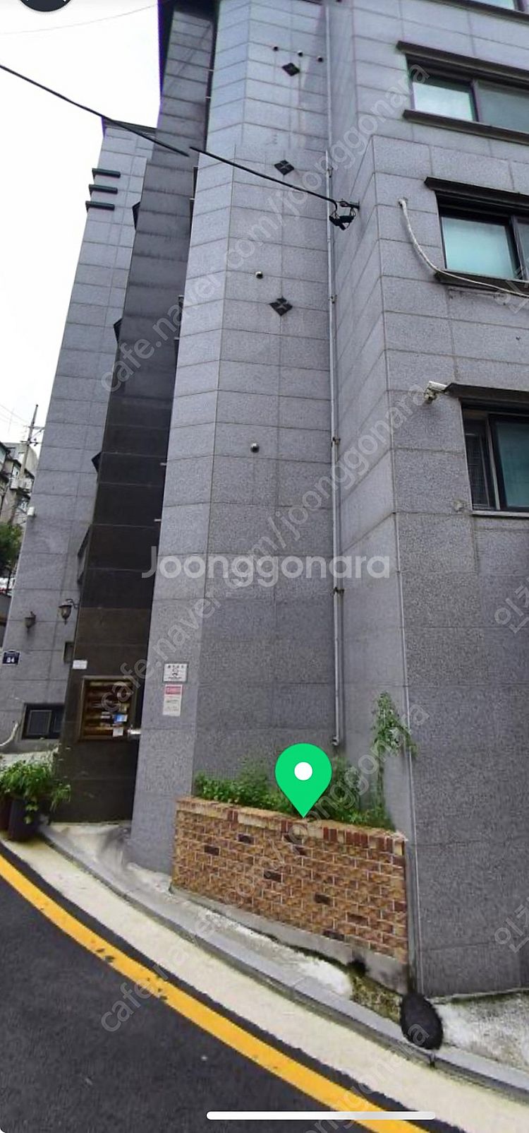 구찌 클러치백 스네이크 정품 풀박스 팝니다--6