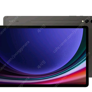 갤럭시탭 S9 플러스 256GB wifi 미개봉 베이지 / 그라파이트