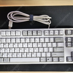 리얼포스R2 APC TKL 일반균등 55G 무접점 키보드