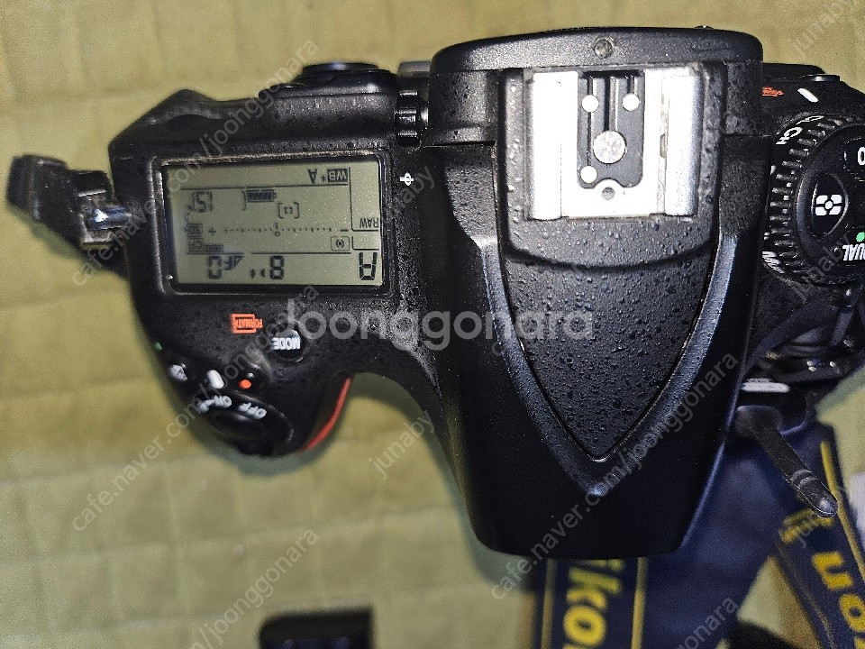 니콘 D810--6