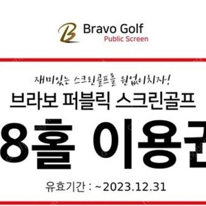 브라보스크린골프 총4장