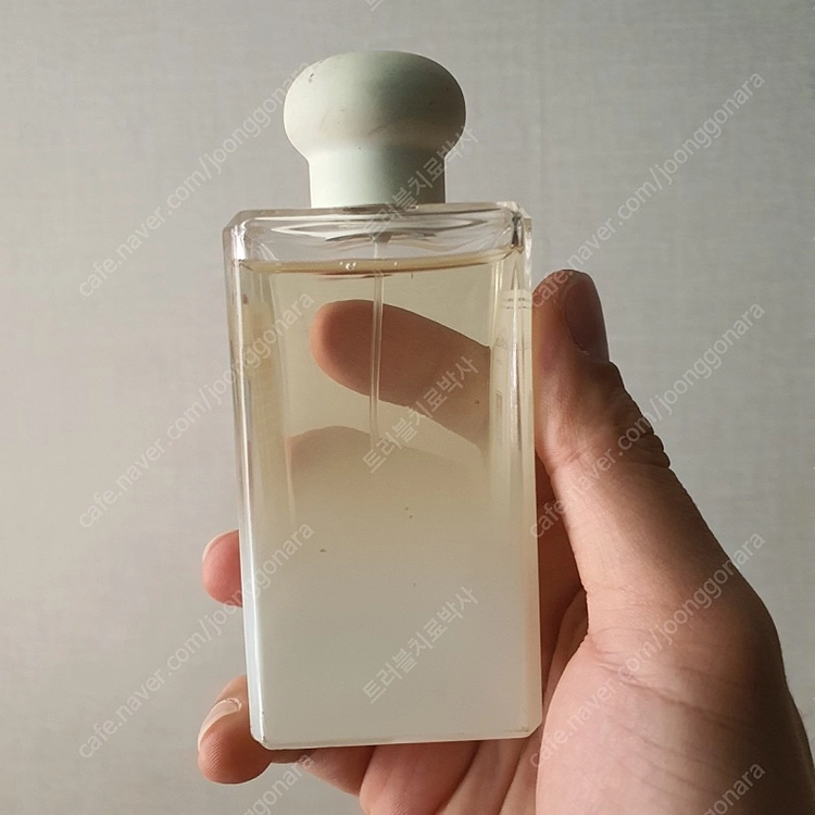 조말론 스타 매그놀리아 코롱 100ml 향수 (17) 이미지