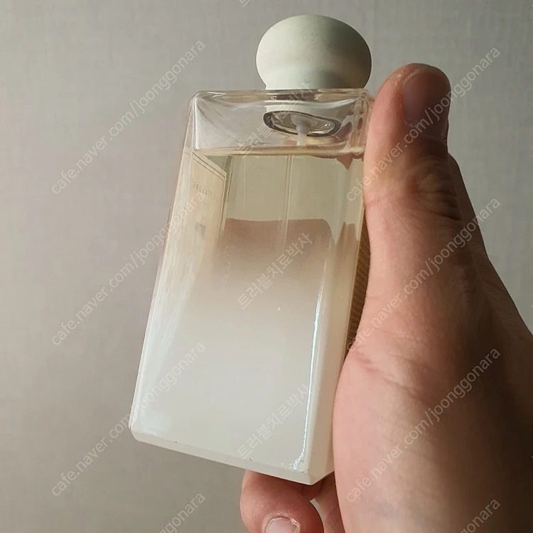 조말론 스타 매그놀리아 코롱 100ml 향수 (17) 이미지