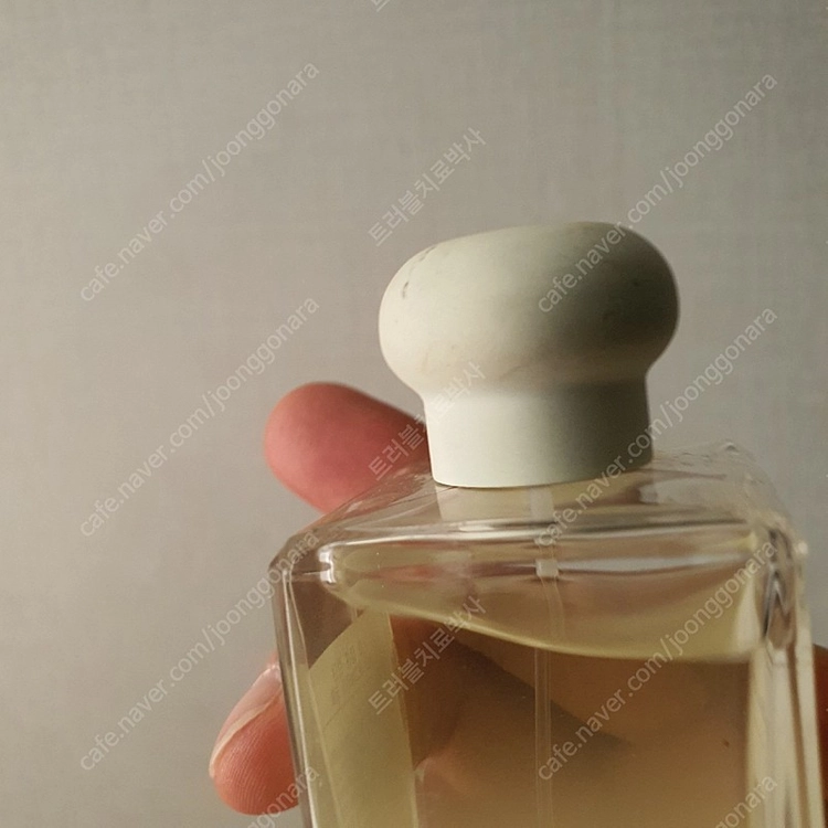 조말론 스타 매그놀리아 코롱 100ml 향수 (17) 이미지