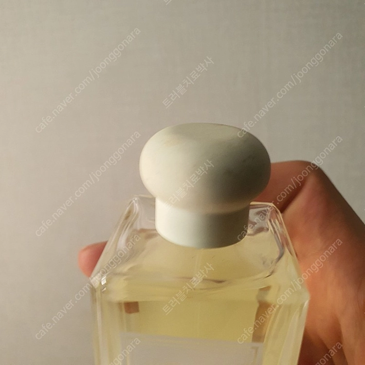 조말론 스타 매그놀리아 코롱 100ml 향수 (17) 이미지