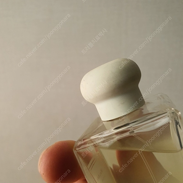조말론 스타 매그놀리아 코롱 100ml 향수 (17) 이미지