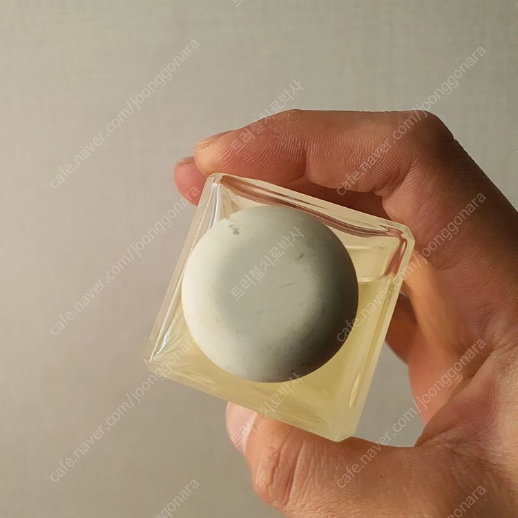 조말론 스타 매그놀리아 코롱 100ml 향수 (17) 이미지