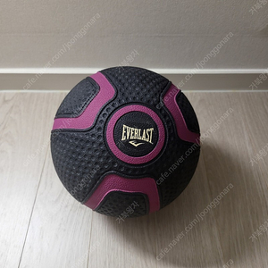 에버라스트 메디신 볼 2kg (Everlast 메디슨 볼)