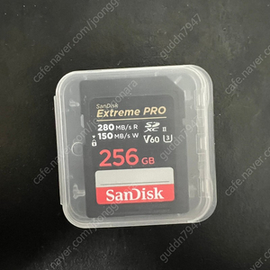 sandisc extreme pro 256GB sd카드