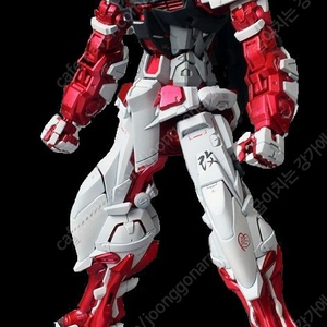 MG 건담 정크 미조립 팝니다 (아스트레이 레드프레임, 스트라이크rm 리써큘레이션)