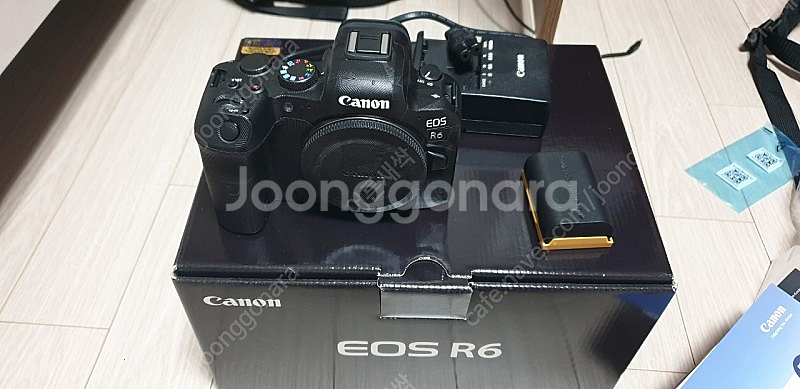 캐논 R6, RF 24-105 F4L--0