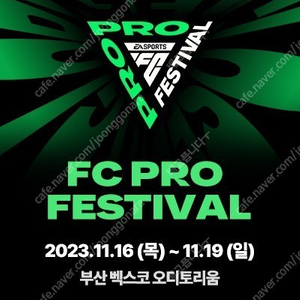 fc 프로 페스티벌 일요일 단석 동반입장 판매합니다!!