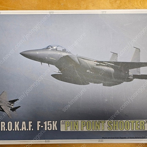 1/48 R.O.K.A.F F-15K "PIN POINT SHOOTER"