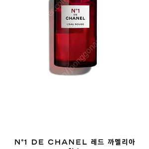 샤넬 레드 까멜리아 향수 100ml 정품