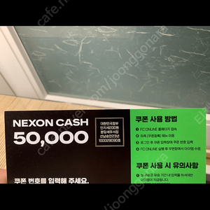 넥슨캐시쿠폰 5만원권 43000원에 4장 팝니다