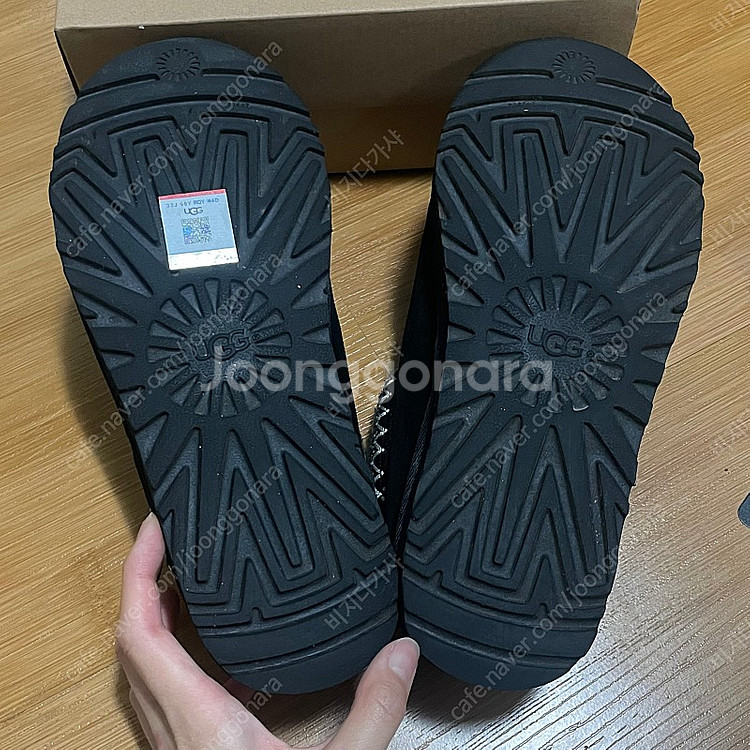 어그 타스만--1