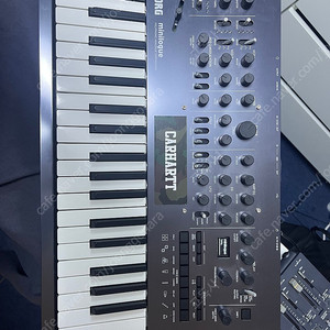 Korg minilogue pg 판매합니다