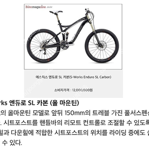 2009년 S-Works 엔듀로 SL 카본 (올 마운틴) 파라독스