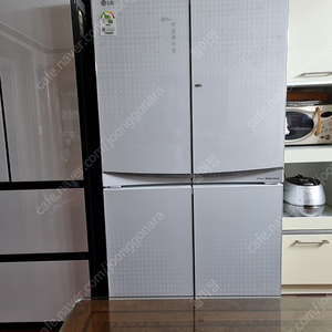 LG디오스 4도어 냉장고 R-U913VBIW 용량910리터