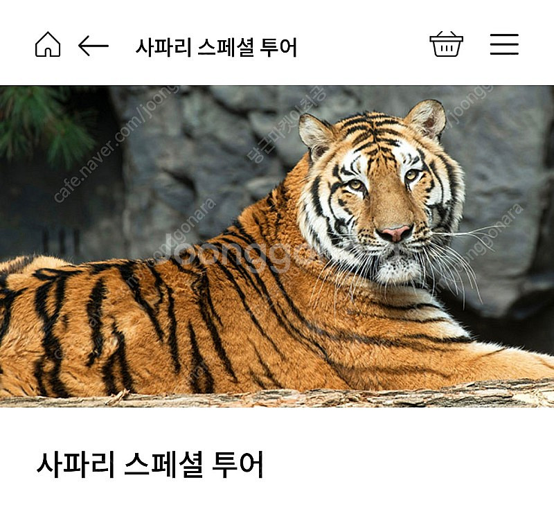 에버랜드 사파리 스페셜투어 12월 2일 토요일--0